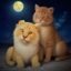 用户夜猫子Leo的头像，欧美操隐私保护须知读者